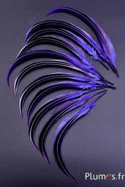 Canard Mandarin - 15-20 cm - violet